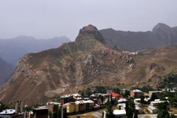 Bay kelesi (1)