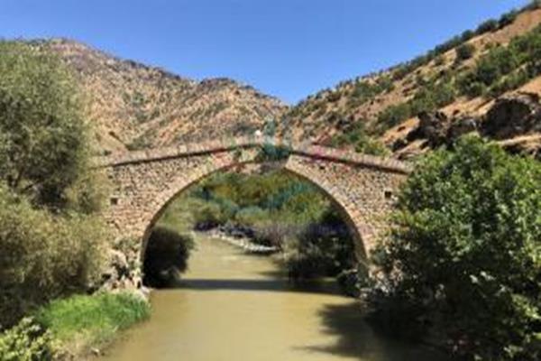 Nehri Taş köprü (5)