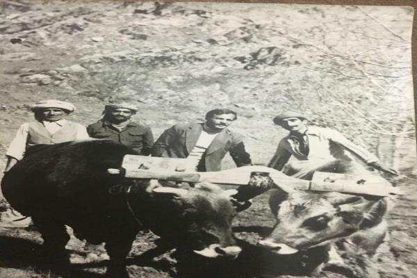 Ceylanlı Walto Köyü (44)