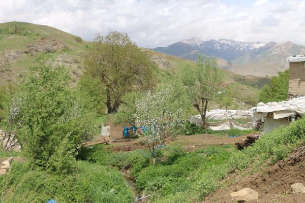 Çetintaş Köyü  Gundê Hergêlê  (5)