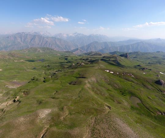 Zozanêt Kotranisê
