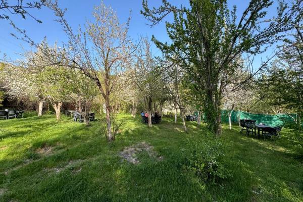photo_2024-05-05_12-56-17