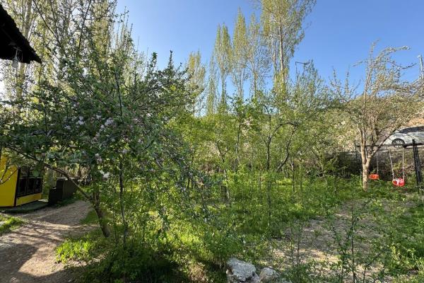 photo_2024-05-05_12-56-03