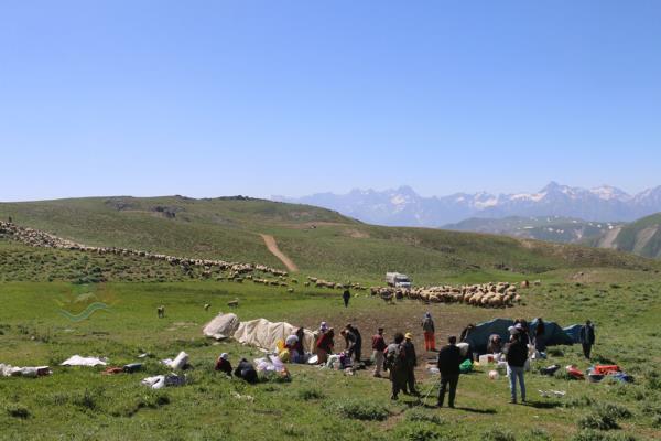 Warê Şekır Yaylaları / Zozana Warê Şekır 