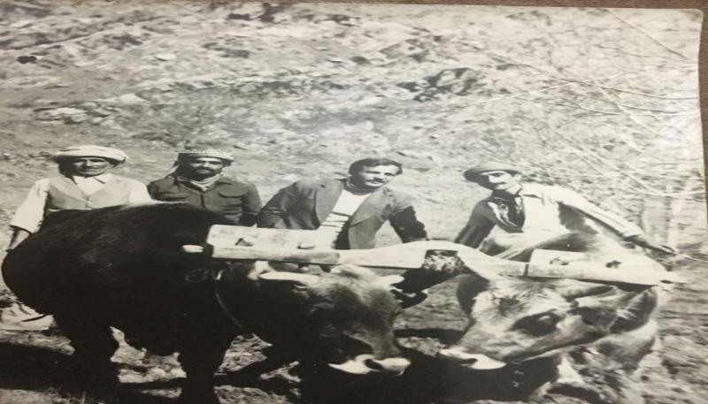 Ceylanlı Köyü (11)