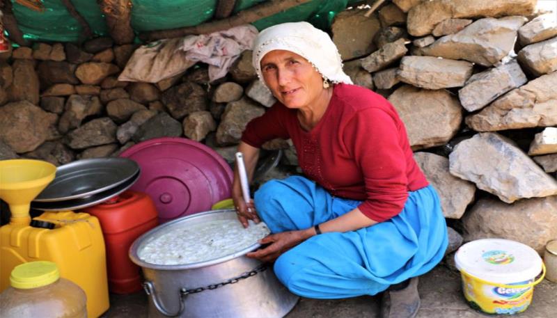 Peynir Yapımı