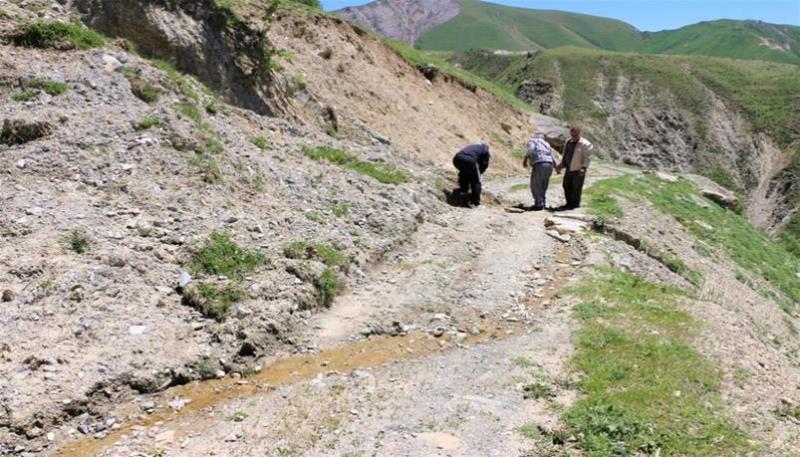 ördekli yolu (1)