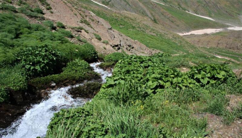 ceylanlı suları (2)