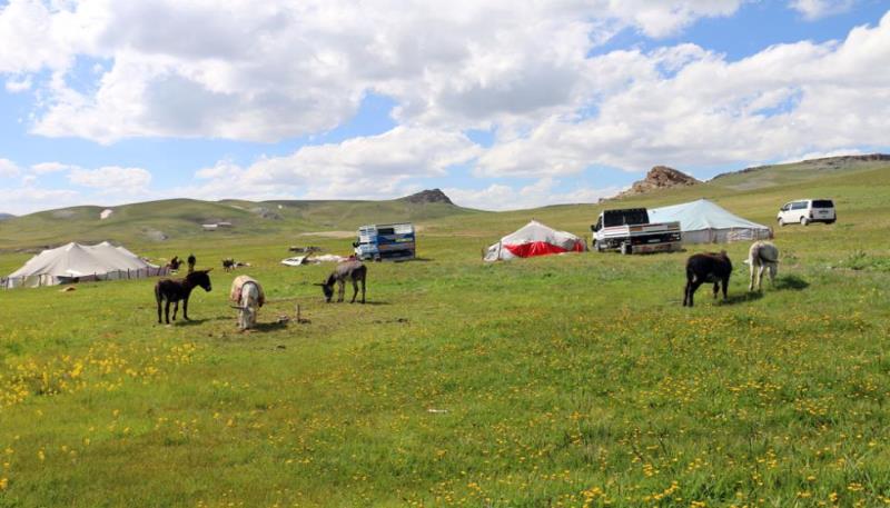 Nebirnav Yaylası (33)