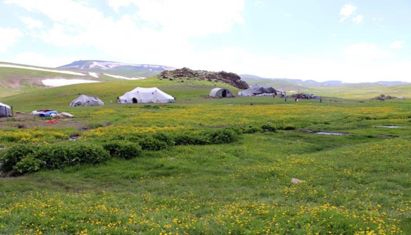 Nebirnav Yaylası (6)