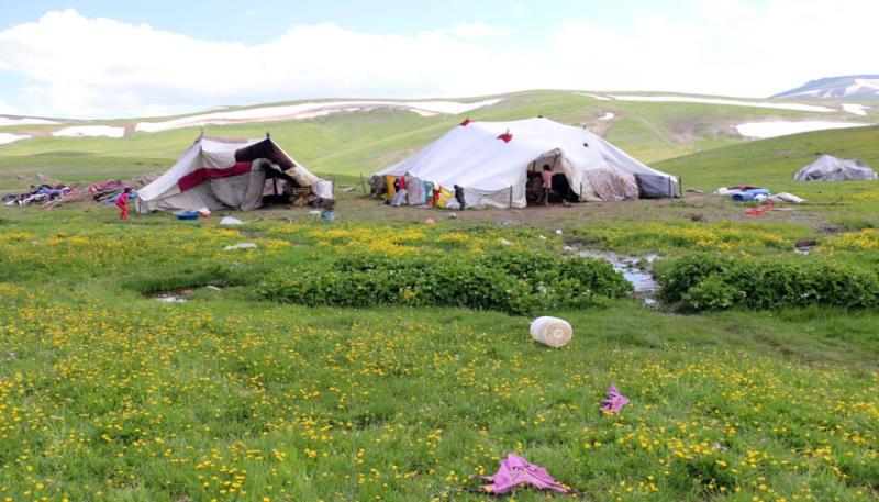 Nebirnav Yaylası (10)