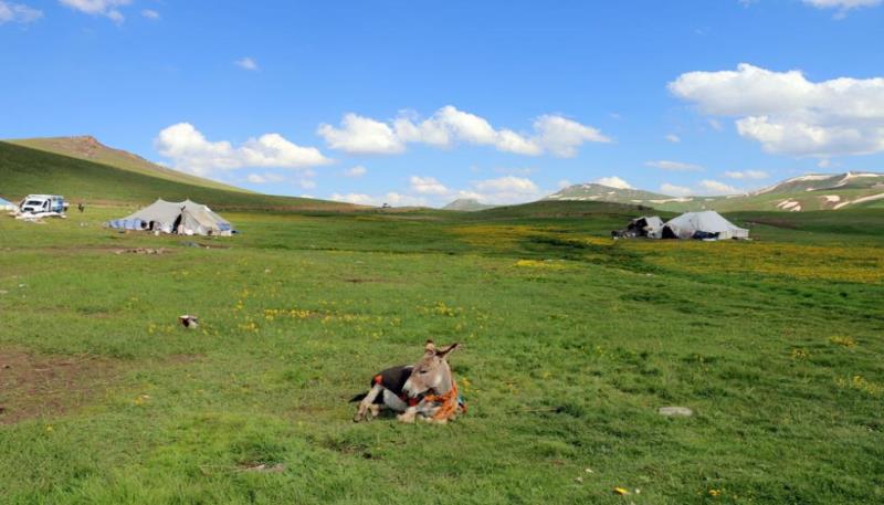 Nebirnav Yaylası (11)