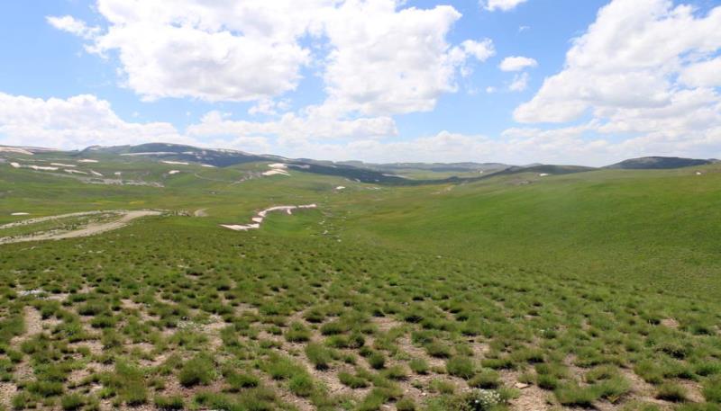 Nebirnav Yaylası (23)