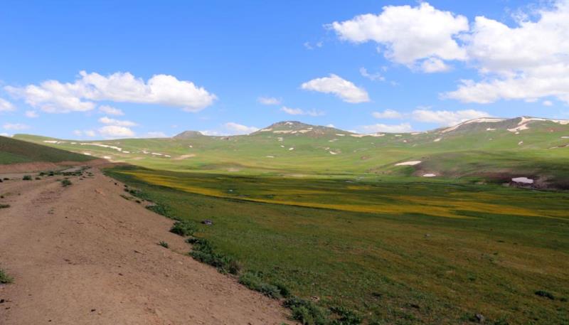 Nebirnav Yaylası (34)