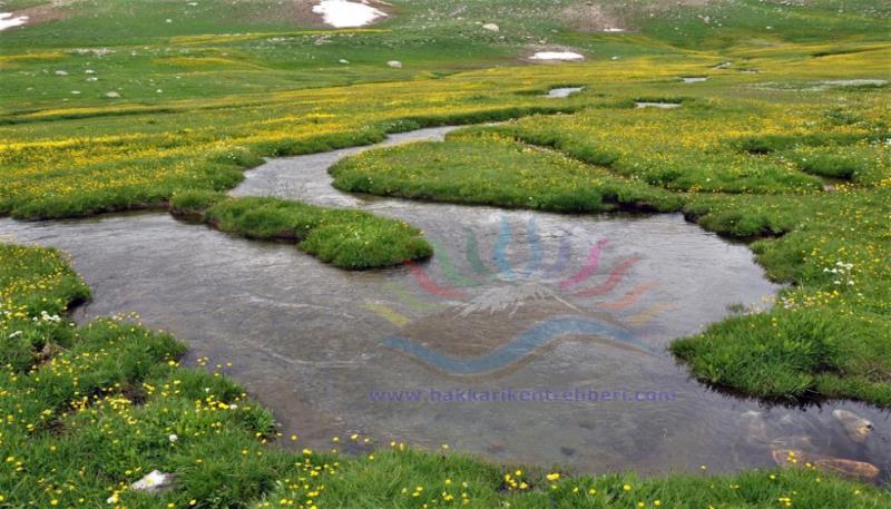 berçelan yaylası (2)