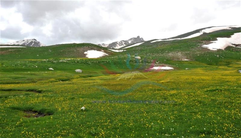 berçelan yaylası (7)