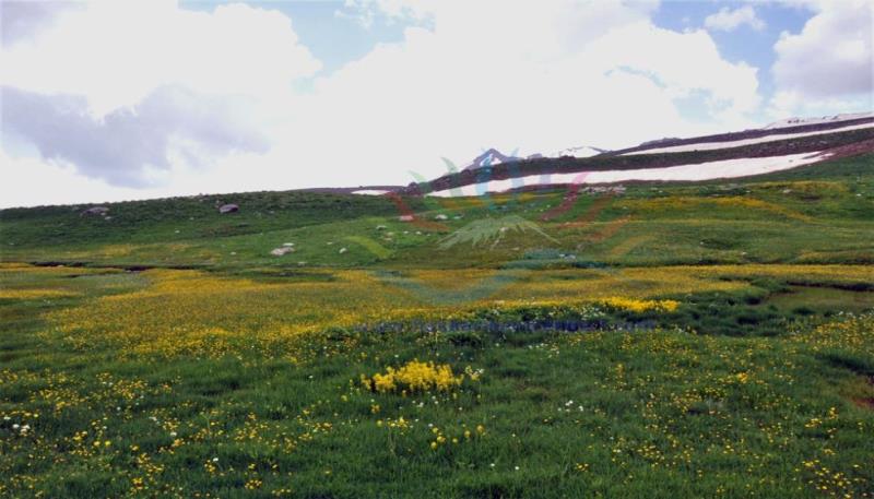berçelan yaylası (15)