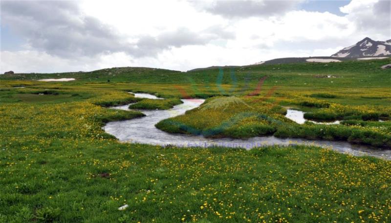 berçelan yaylası (10)