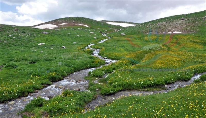 berçelan yaylası (6)