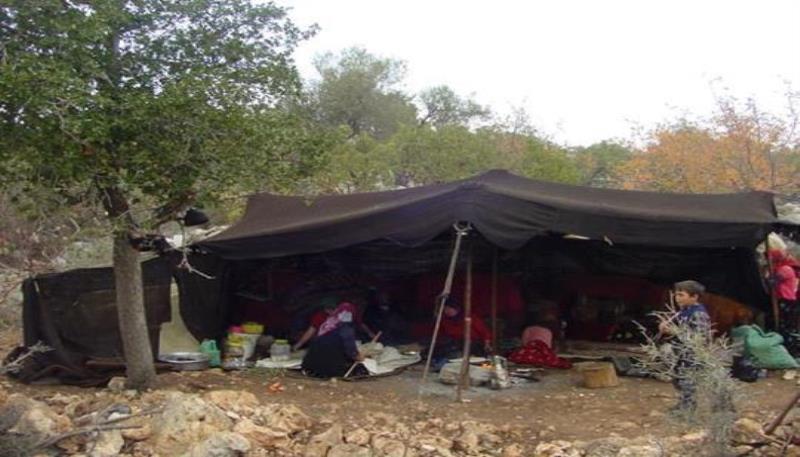 karaçadır - konereş