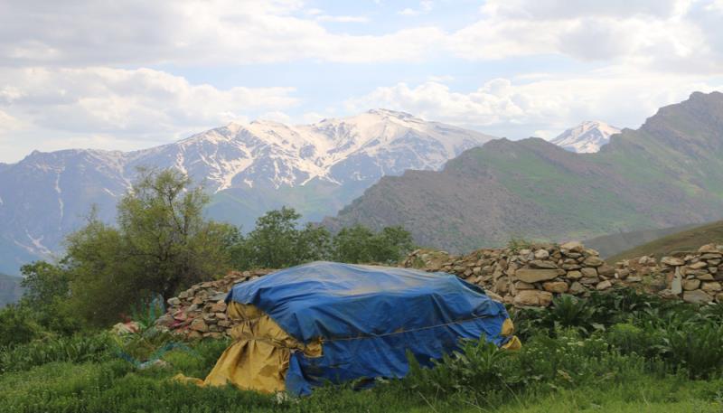 Kamışlı Köyü Gundê Elkikê (8)