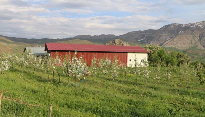 Kamışlı Köyü Gundê Elkikê (1)