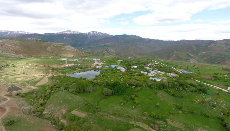 Kamışlı Köyü Gundê Elkikê (13)
