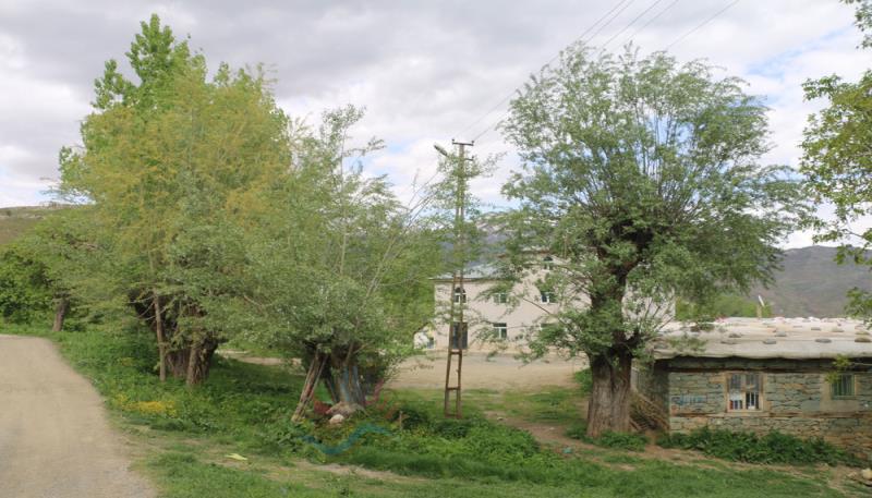 Kamışlı Köyü Gundê Elkikê (5)