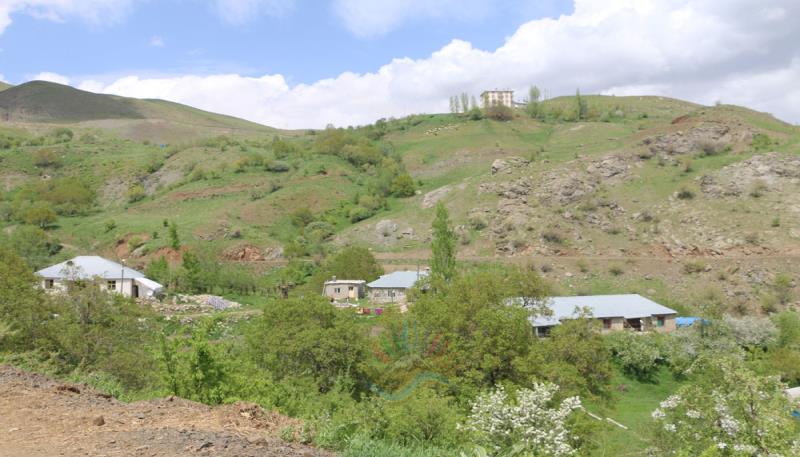Çetintaş Köyü  Gundê Hergêlê  (1)