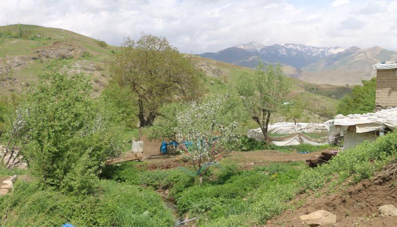 Çetintaş Köyü  Gundê Hergêlê  (5)