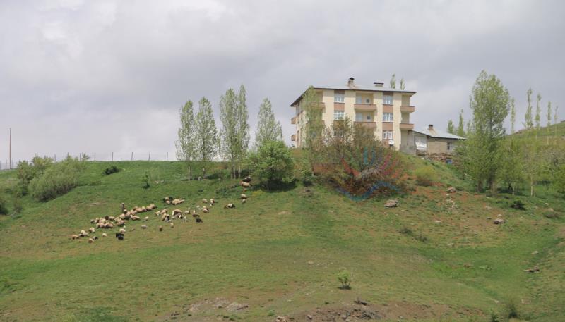 Çetintaş Köyü  Gundê Hergêlê  (2)