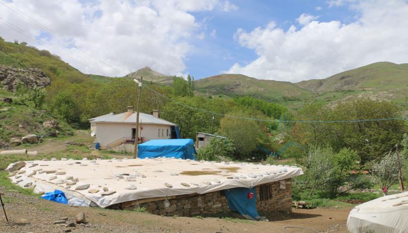 Çetintaş Köyü  Gundê Hergêlê  (10)