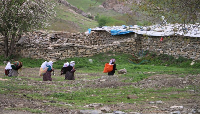 Pınarca Köyü Gundê Baleka (4)