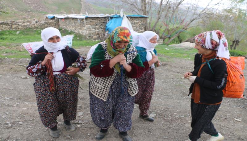 Pınarca Köyü Gundê Baleka (2)