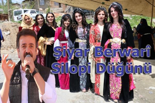 Şiyar Berwari - Silopi Düğünü