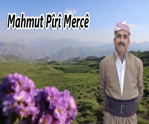 Mahmut Pîrî Mercê
