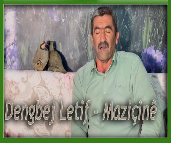 Dengbej Letif - Maziçinê [ 2022 © ]