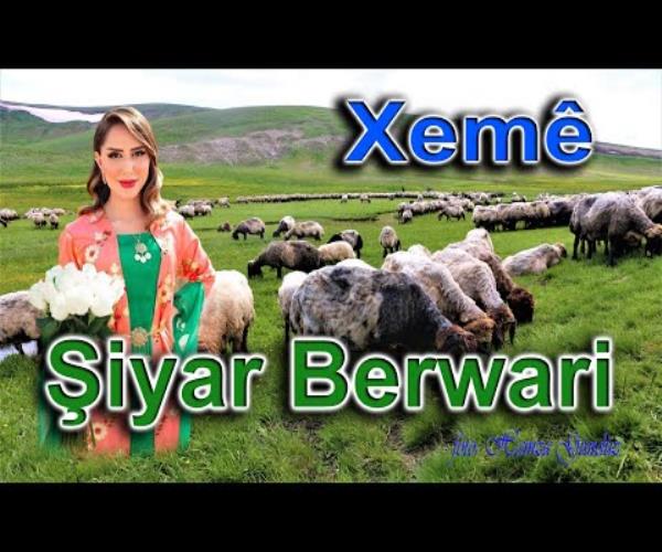 Şiyar Berwari - Xemê [ 2022 © ]