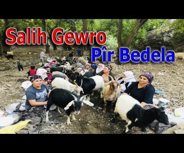 Dengbêj Salih Gewro - Pîr Bedala / دنغبيج صالح جورو - بير بيدالا 💐
