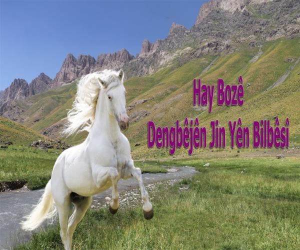 Hay Bozê Dengbêjên Jin Yên Bilbêsî