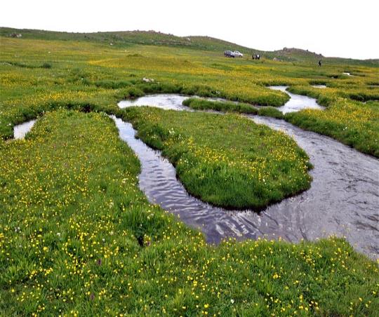 Berçelan Yaylası / Zozana Berçelanê