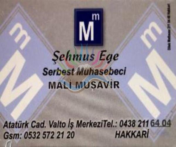 Mali Müşavir Şehmus Ege