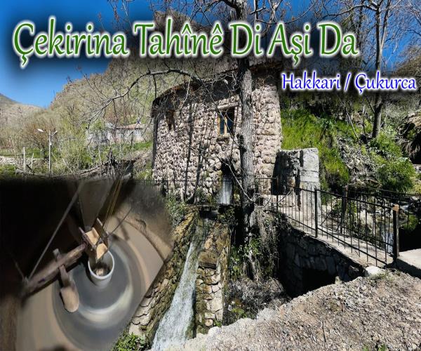 Çukurca’da Değirmende Tahin Yapımı [ 2022 © ]