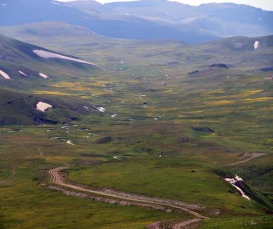 Nebirnav / Zozana Nebirnavê