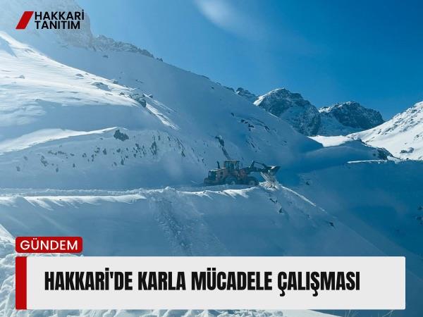 Hakkari'de Karla Mücadele Çalışması 