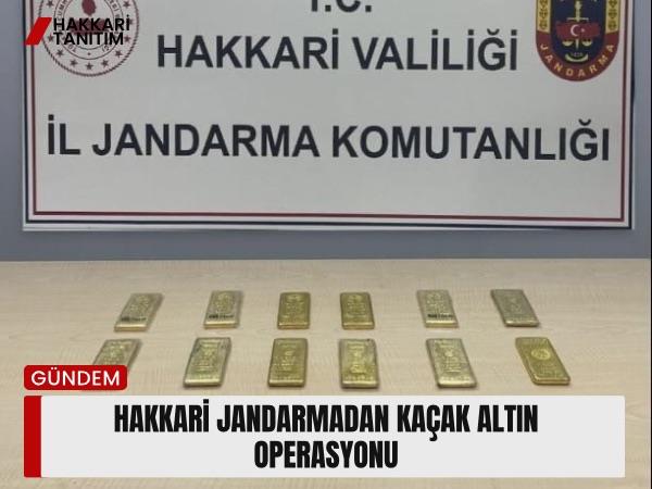  Hakkari Jandarmadan Kaçak Altın Operasyonu