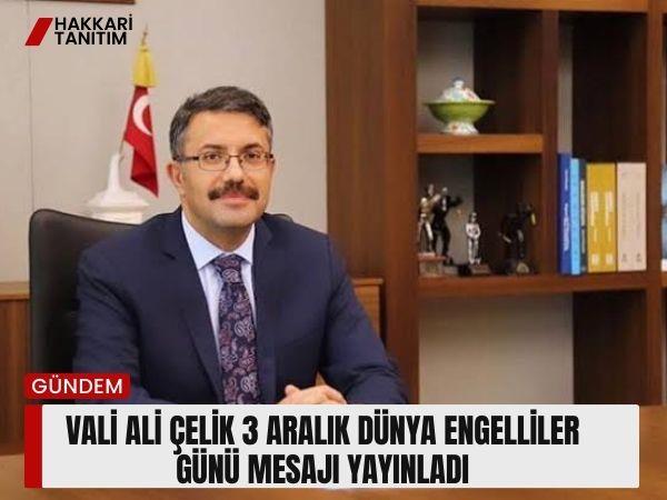 Vali Ali Çelik 3 Aralık Dünya Engelliler Günü Mesajı yayınladı