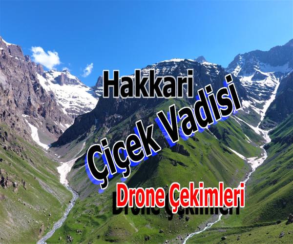 Hakkari Kırıkdağ Köyü Çiçek Vadisi