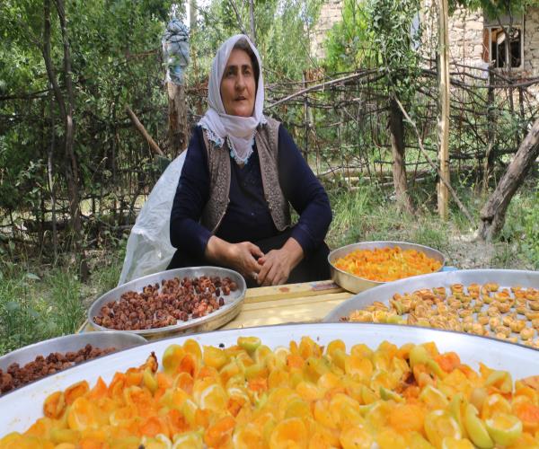 Hakkari Ördekli Köyü Doğanca Mezrası 